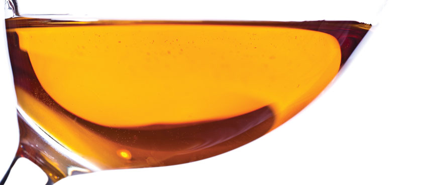 Oranje wijn kopen
