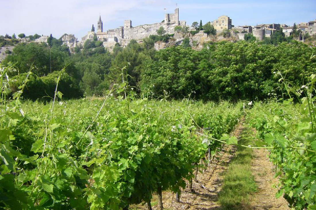 anjou saumur wijn