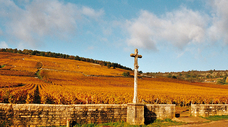 Cote de Beaune wijn