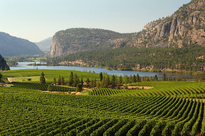 Canadese wijn uit de Okanagan Valley kopen