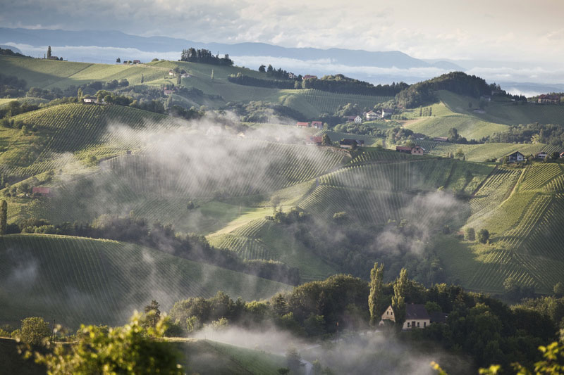 Wijn uit Sudoststeiermark