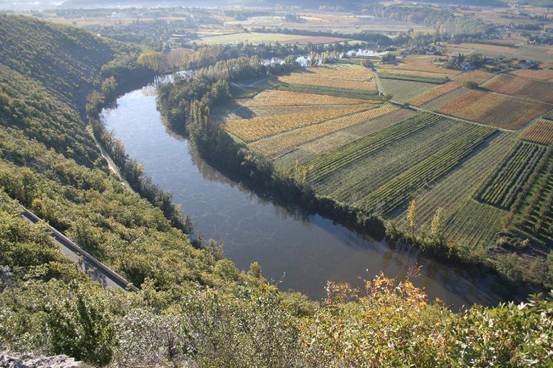 cahors wijn kopen