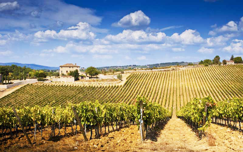 chianti wijn