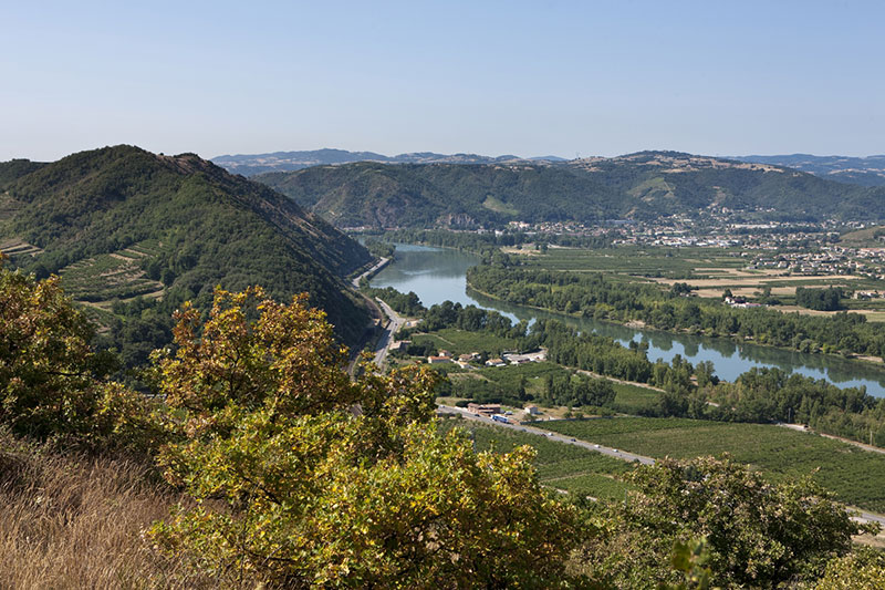 crozes hermitage wijn