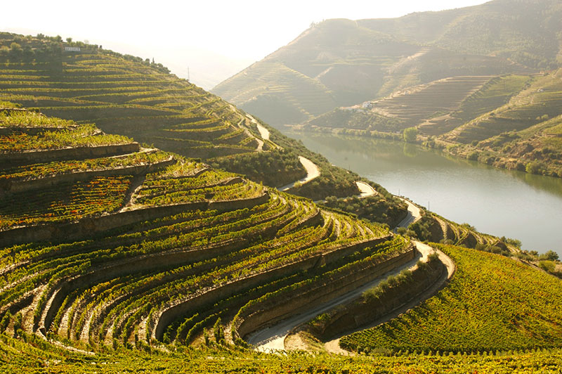 douro wijn