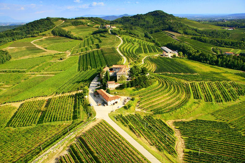 friuli wijn kopen
