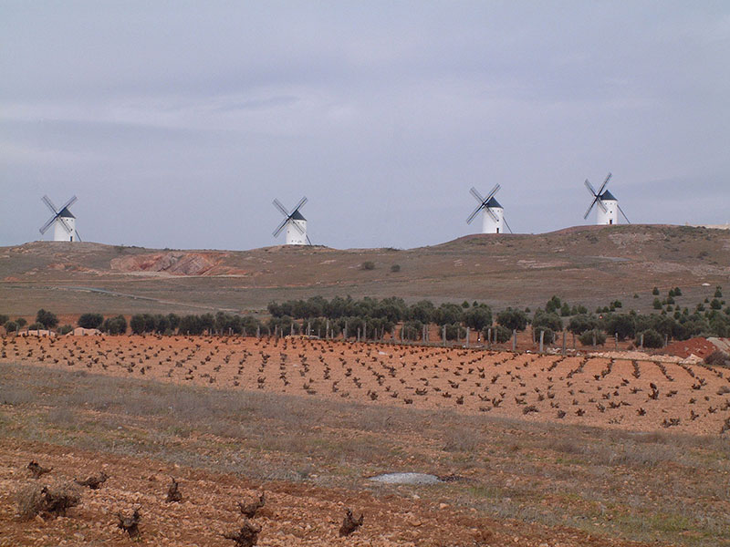 la mancha wijn