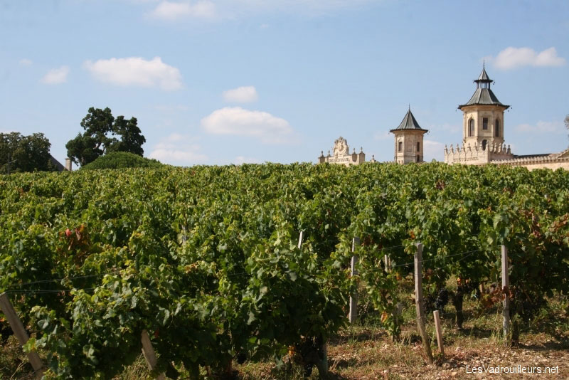 Medoc wijn kopen