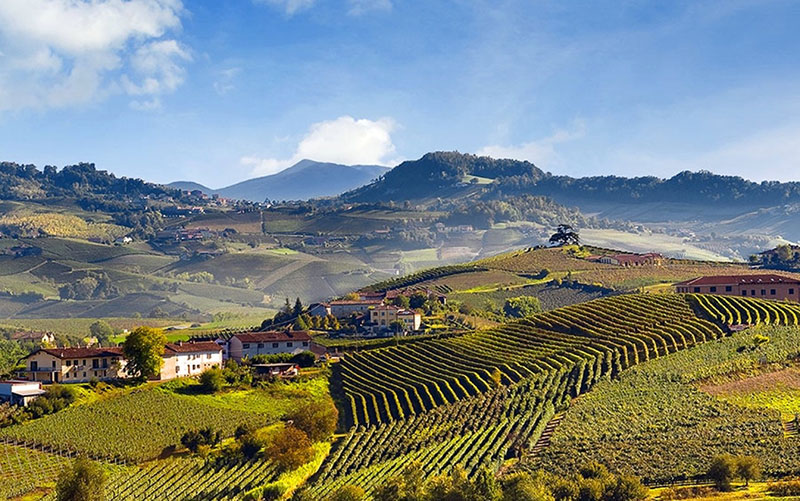monferrato wijn kopen