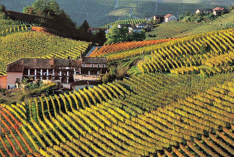 piemonte wijn