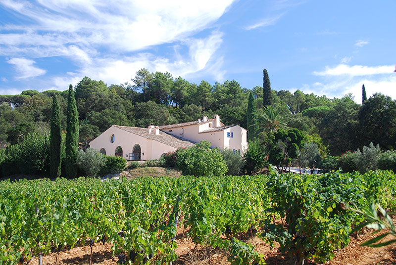 wijn uit de provence