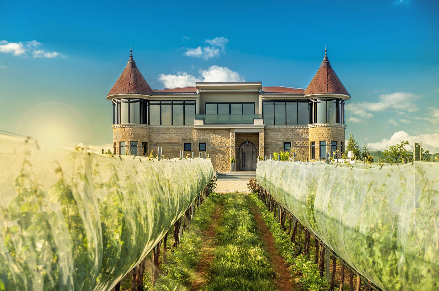 De wijnen van Chateau Kamnik kopen