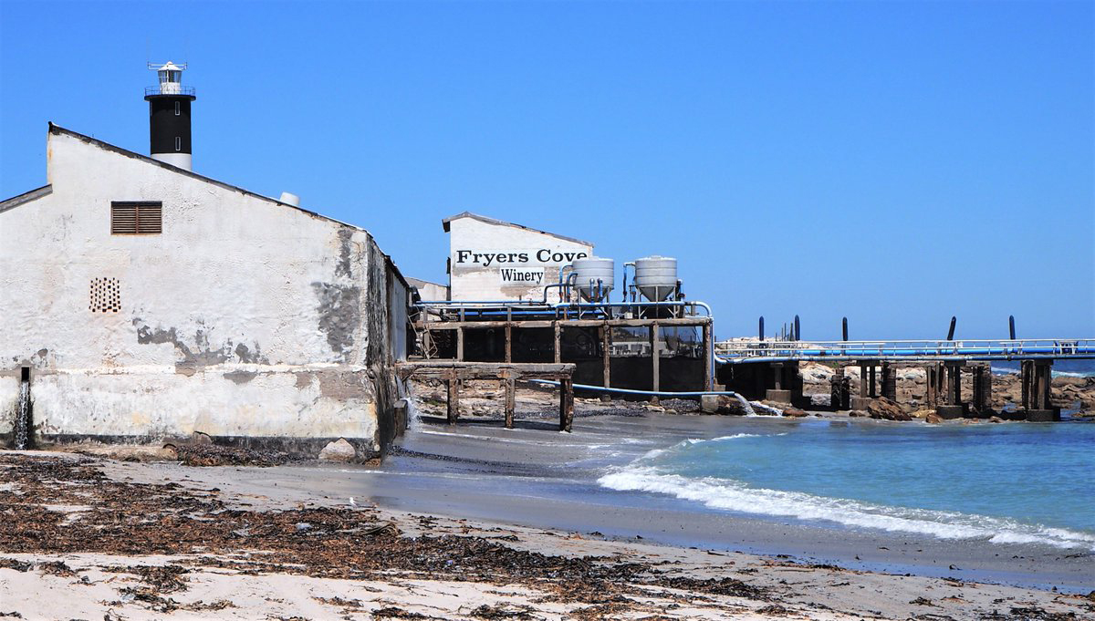 Zuid-Afrikaanse wijn van Fryer's Cove kopen