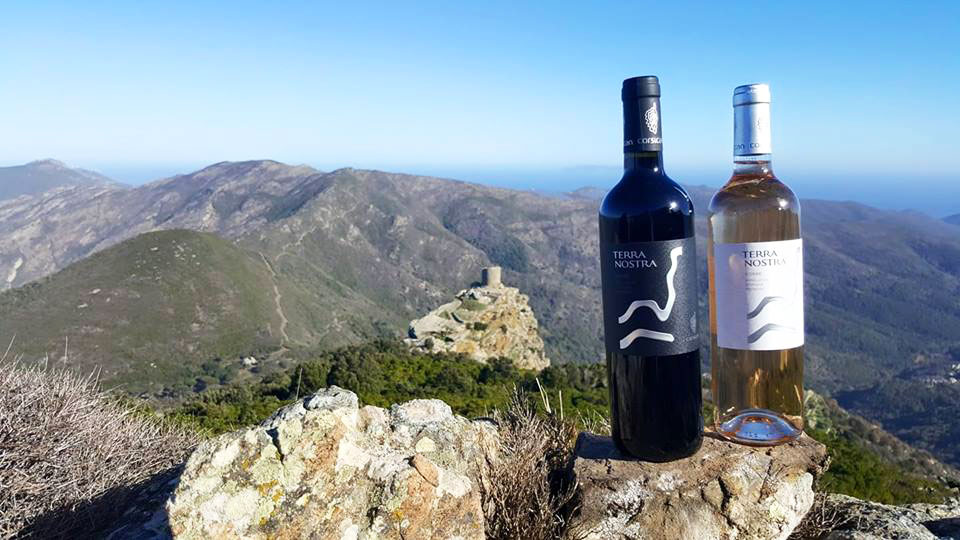 WIjn Corsica kopen