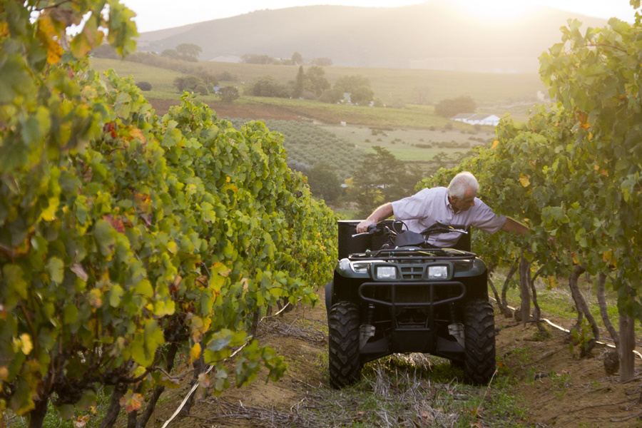 Kyburg Boutique Wines Zuid-Afrikaanse wijn kopen