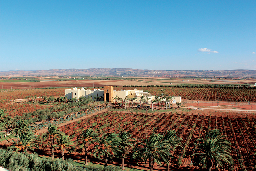 Les Celliers de Meknes Chateau Roslande Marokkaanse wijn kopen