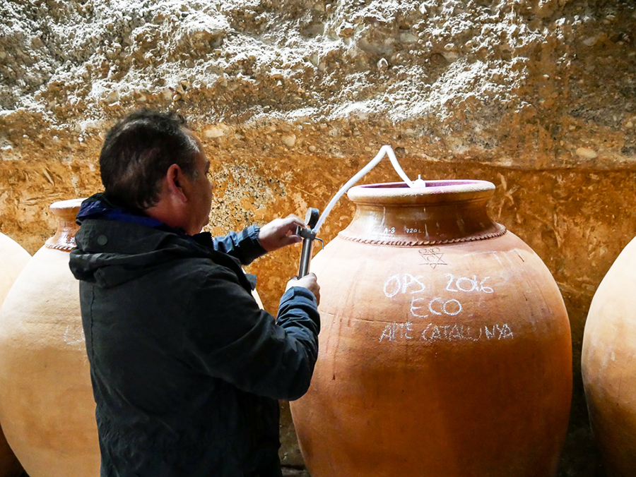 Spaanse wijn van Loxarel kopen