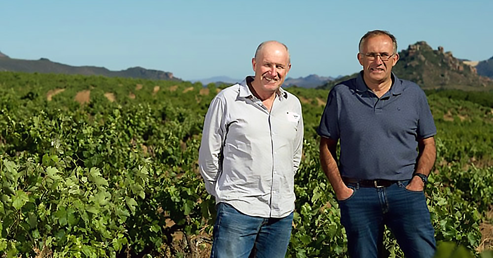 Zuid-Afrikaanse wijnen van Pieknierskloof Wine Company kopen