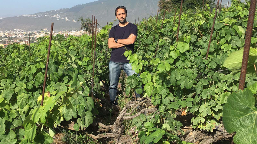 Wijn uit Tenerife van Suertes del Marques kopen