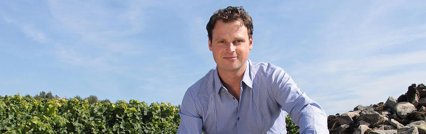 Wijn kopen van Weingut Fogt