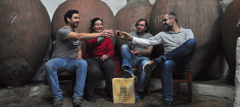 Wijn van XXVI Talhas uit Alentejo en Portugal kopen