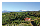 La Cantina Antoniolo