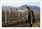 Citluk Winery