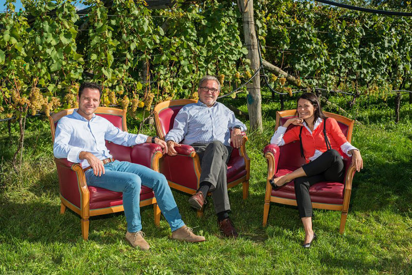 martini sohn wijn kopen