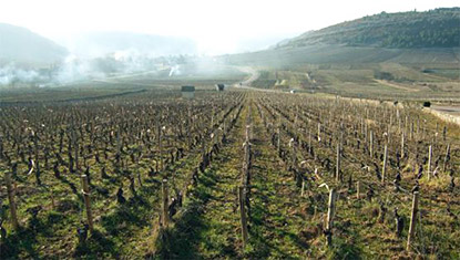 domaine patrick javillier wijn