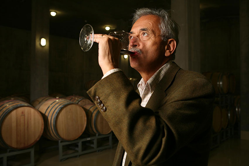 sauska hongaarse wijn kopen